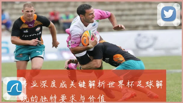专业深度成关键解析世界杯足球解说的独特要求与价值