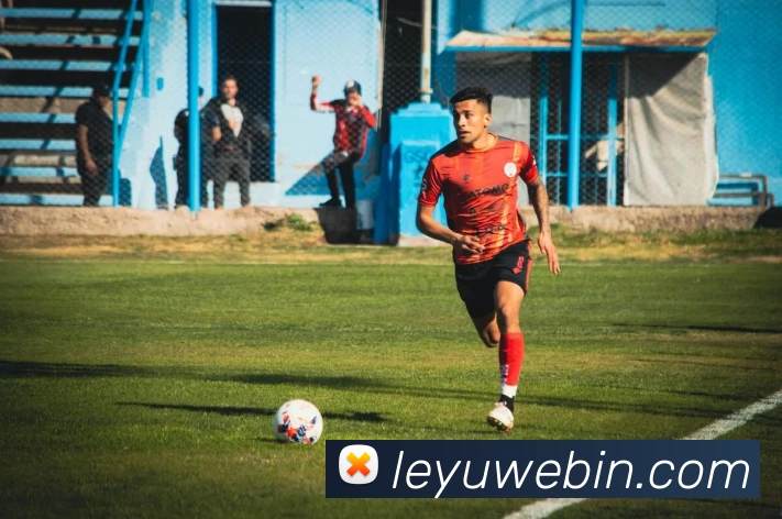 App Interface Preview